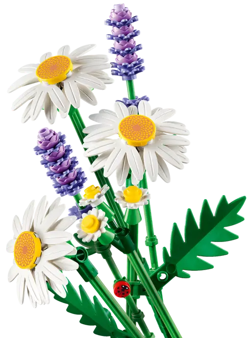 9087db13790ce361134f54218507f650.png