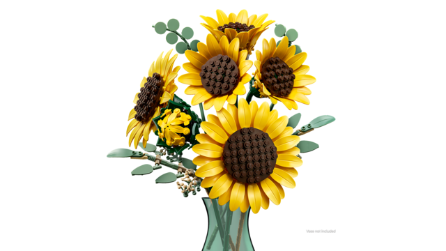 csPhotos_Photo_27768B6A-75A3-43C5-A3C2-BC6C1D479D93_1.png