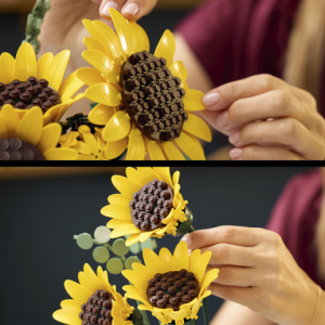 csPhotos_Photo_CE525E84-C99B-4CD0-9A36-5D5F9C008A0B_1.png