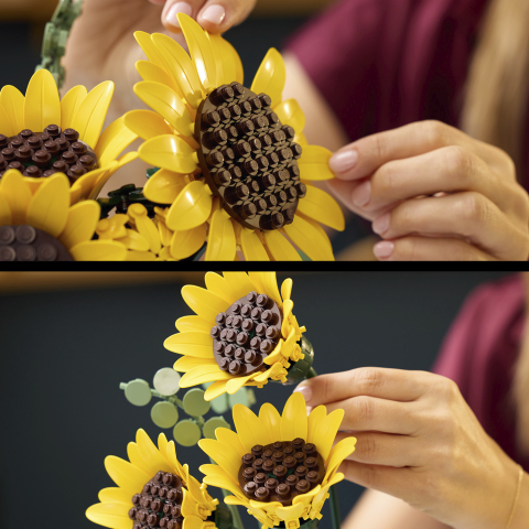 csPhotos_Photo_CE525E84-C99B-4CD0-9A36-5D5F9C008A0B_1.png