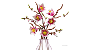 csPhotos_Photo_34333754-F8E8-4804-9B08-C58B9AE0F25F_1.png