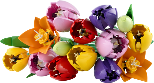 csPhotos_Photo_09FC94DB-FD35-4FD1-85A5-59F3AE15A793_1.png