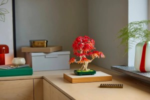 10348-LEGO-The-Botanical-Collection-Klon-palmowy-bonsai-3.jpg