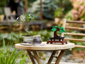10281-LEGO-Creator-Drzewko-bonsai-8.jpg