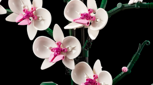10311-LEGO-Icons-Orchidea-4.png