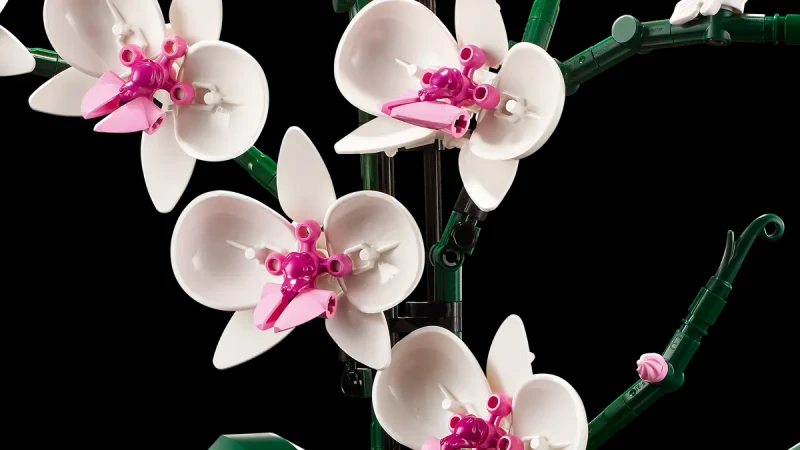 10311-LEGO-Icons-Orchidea-4.png
