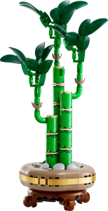 10344-LEGO-The-Botanical-Collection-Dracena-sandera-1.png