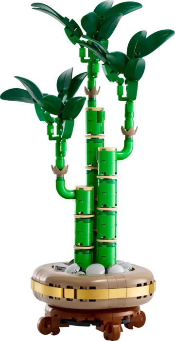 10344-LEGO-The-Botanical-Collection-Dracena-sandera-1.png