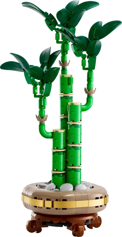 10344-LEGO-The-Botanical-Collection-Dracena-sandera-1.png