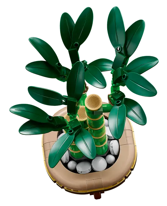 10344-LEGO-The-Botanical-Collection-Dracena-sandera-3.png