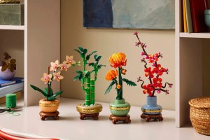 10344-LEGO-The-Botanical-Collection-Dracena-sandera-8.jpg