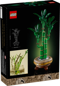 10344-LEGO-The-Botanical-Collection-Dracena-sandera-9.png