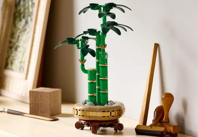 10344-LEGO-The-Botanical-Collection-Dracena-sandera-12.jpg