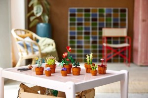 10329-LEGO-The-Botanical-Collection-Male-roslinki-7.jpg